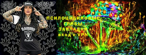 индика Гусь-Хрустальный