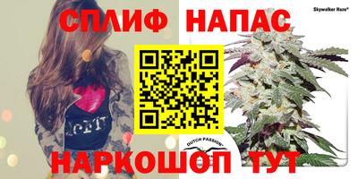 гидра Донецк