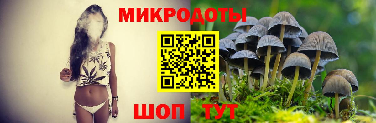 Псилоцибиновые грибы Cubensis Муравленко